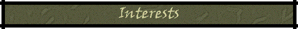 Interests